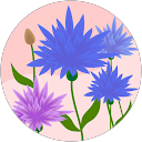 Tracey Mcculloch profile picture